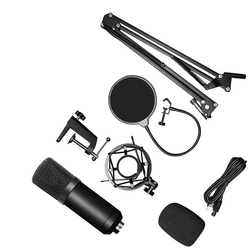 BM-700 Condenser Microphone Set