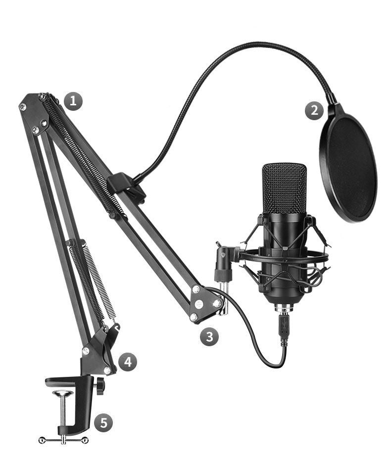 BM-700 Condenser Microphone Set